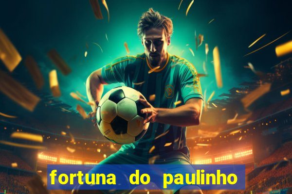 fortuna do paulinho do roupa nova